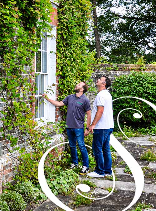 Sash-Inspection-S Sash window repair - Homepage Window